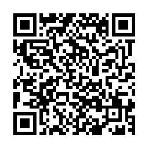 难道你就把复仇这样艰巨的任务全部扔给你这还未长大的孩子二维码生成