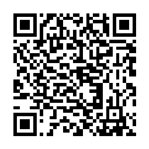 难道你就真的因为什么血缘不血缘的关系抛弃现在的父母二维码生成