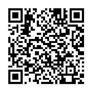 难道你忘记了当年我们人类强者和你们纵横山脉定下的协议吗二维码生成