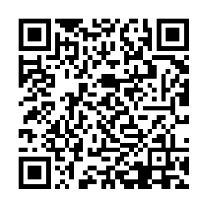 难道你打算把你在这一届的经历重新在上届进行一遍二维码生成