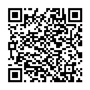 难道你指望他一个男人会像你一样痛苦无比不断痴缠么二维码生成