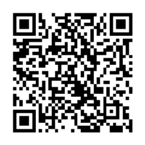 难道你没有感觉到玄蚕毒咒已经开始在侵蚀你的五脏六腑吗二维码生成