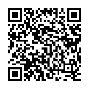 难道你没看出来你现在完全是一副想揍它屁股的凶神恶煞模样吗二维码生成