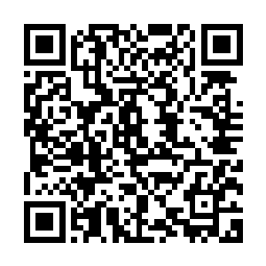 难道你还以为我们会真的看你这么装模作样的摸一会人家手腕二维码生成