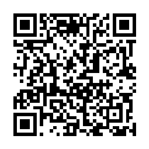 难道你还天真的一位雷神殿的总部会在这个翡雨城中不成二维码生成