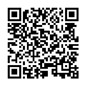 难道你这个苍澜宗王级榜第一不用去星域宗参加九宗大典二维码生成