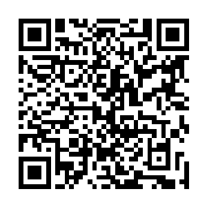 难道冲上浅滩的库克他们也遭到了这种银色长条大鱼的袭击二维码生成