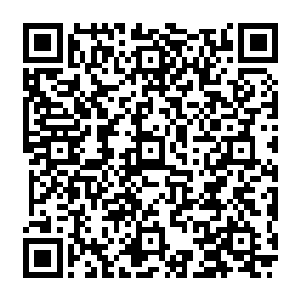 难道我现在给你们安排一位教授或者研究生导师讲包豪斯主义在装修设计中的现实运用二维码生成