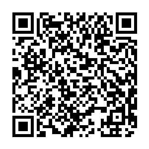 难道用正在内战的王室派军团和强盛到足以匹敌亡灵大帝的木灵一族开战吗二维码生成