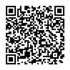 难道眼前这个和张璐涵长得一模一样的女孩子是张璐涵的双胞胎姐妹二维码生成