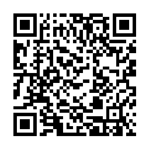 难道自己还真的像林绯虞那样不管不顾地扔出九品符箓不成二维码生成