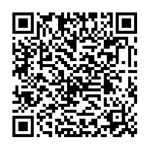 难道苗管事认为参加星宿海戡乱会的修士中还会有比赵某修为更高的二维码生成