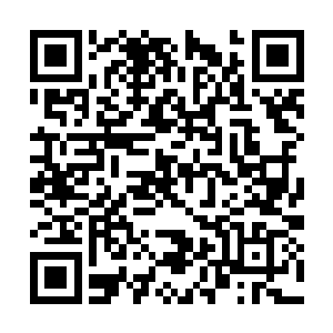 难道血丹也会随着我体内主要力量的转变来变化吗二维码生成