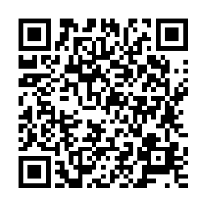 难道说……袁讳和冲云殿殿主之间达成了什么不可告人的协议二维码生成