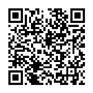 难道说他们如果表现的差一些第一家族派出来的人就差了吗二维码生成