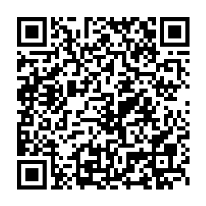 雅典娜肯定是有目的的……绝对不是单纯的要劝秦方放弃这个计划的二维码生成