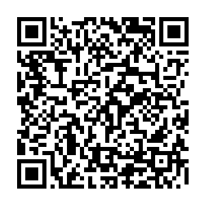 雅园不会只有我们几个飞升修士的――石道友与左道友可否愿意留在雅园二维码生成