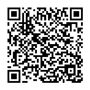 集五行之精华创造的仙傀之躯在身体上其实已经达到了仙傀的标准二维码生成