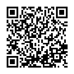 雨族和巨人族两个种族可是在这片破碎大陆上合作了亿万年二维码生成