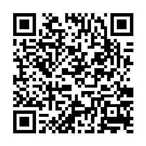 雨果原本就已经达到了时代巅峰的人气硬生生再提升了一截二维码生成