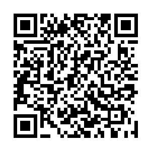 雨果可以依靠自己的力量让历史轨迹再一次发生轻微的改变二维码生成