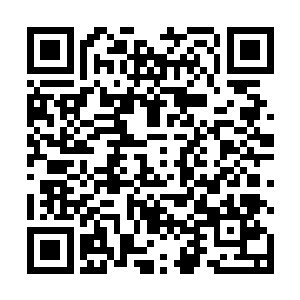 雨果在电影里的演出更是再次颠覆了所有人的固定印象二维码生成