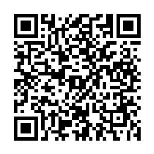 雨果实在无法接受乐器就这样狼狈地扔在地面上的事实二维码生成