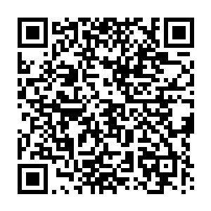 雨果家里的音乐草稿他们都翻了一个遍――雨果也是非科班出身自学成才的二维码生成