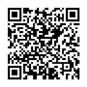 雨果就依靠扎实的表演和耀眼的天赋一步一步走到了观众面前二维码生成