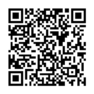 雨果才真正上升到二十世纪福克斯庞大计划的战略性地位二维码生成