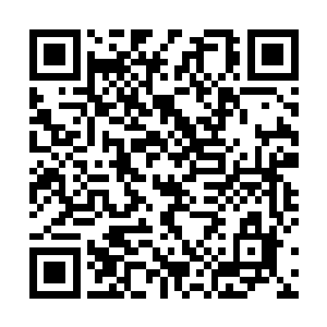 雨果更是从来没有出现在博柏利任何形式的宣传活动中二维码生成