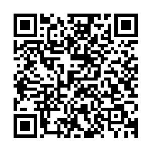 雨果根本找不到任何熟悉的面孔――哪怕只是一点点印象都没有二维码生成