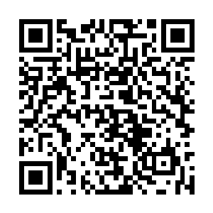 雨果此刻深深地觉得如果画圈圈诅咒他们有用的话二维码生成