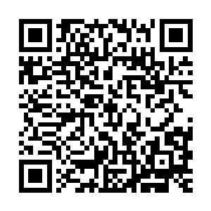 雨果现在的水准与伍迪数十年的累积和沉淀相比自然是有差距的二维码生成