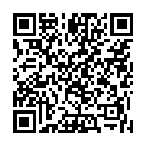 雨果的美妙嗓音用三言两语将自然的神奇和美妙勾勒出来二维码生成