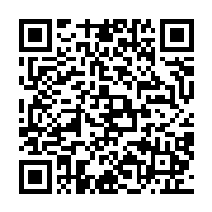 雨果的视线里只看得到一张张因为过于激动而变形的脸颊二维码生成