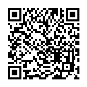 雨果的这一份细心让桑德拉嘴角的笑容也微微勾勒了起来二维码生成