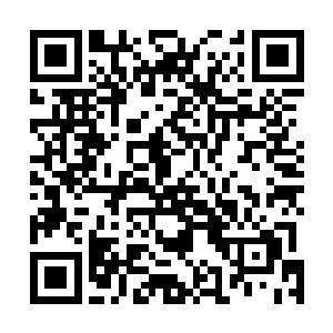 雨果还没有来得及询问罗兰到底是谁必须介绍给自己认识二维码生成