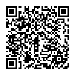 雪如楼默默给流墨墨递上了一碟精心烘焙过的仙葵花籽和一杯清新翠绿的仙茶二维码生成