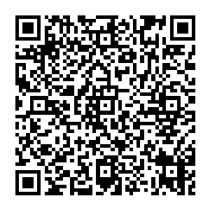 零城的世界=常驻团队受零城程序约束=为了壮大实力必须抢夺分配额度=必须争斗零城的副本任务获取资源二维码生成