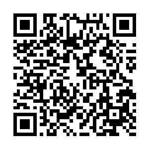 零星点缀几垄绿色……偶尔开了几朵瘦不拉几的小花……二维码生成