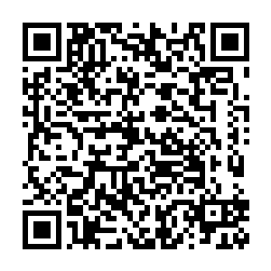 雷天和安志杰瞬间就处在了一片阴森而又充满了死气的空旷墓室里二维码生成