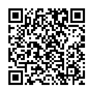 雷天就越是能够清晰地感受到那些修罗家族高手们在什么方向二维码生成