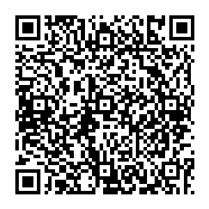 雷振霆吩咐了属下的将领和幕僚注意墨修尧以及墨景黎南楚各处的动静之后便将目光重新锁定在了飞鸿关上二维码生成