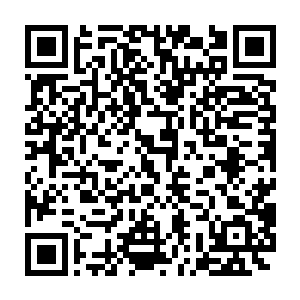 雷林又从腰上的皮囊里面取出了几颗粉红色的珍珠丢到了火焰里面二维码生成