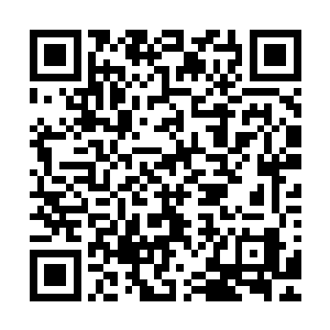 雷林庞大的知识库和夸张的记忆力也连连引起梅尔菲勒的惊叹二维码生成