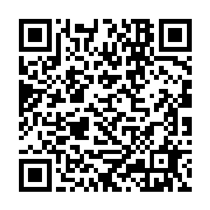 雷林感觉自己似乎可以将任何无生命的物体塞进里面二维码生成
