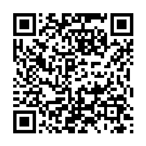 雷林用水晶球记录下了关于这次探索任务的大部分内容二维码生成