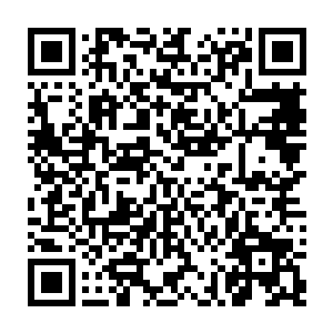 雷林的视线越过正在辛苦施展土系巫术建造大量石柱和石砖的巫师和忙碌的学徒二维码生成