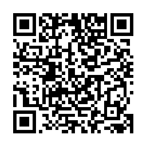 雷林经过芯片加强的五感还是捕捉到了白袍巫师们的对话二维码生成